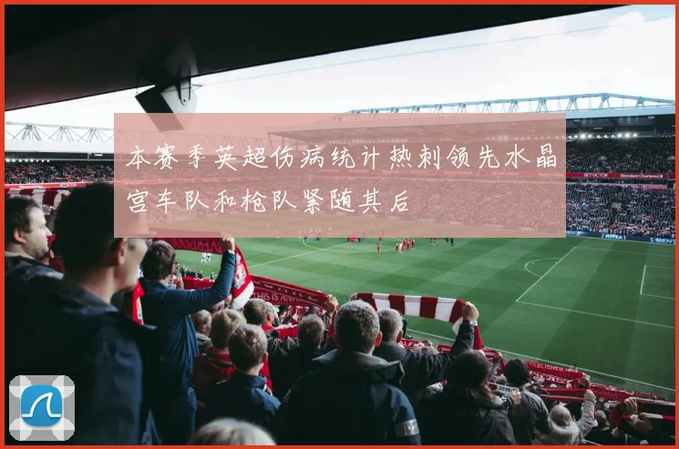 本赛季英超伤病统计热刺领先水晶宫车队和枪队紧随其后